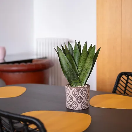 Amas Loft Apartment Bari - Principe Amedeo Bari